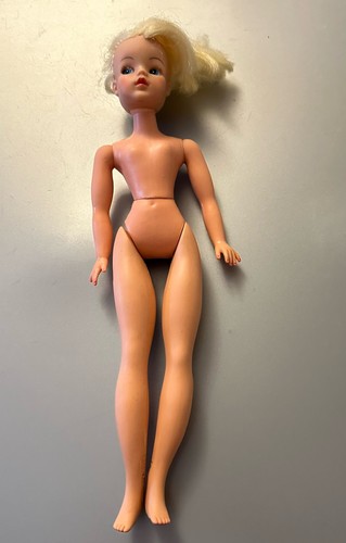 Pedigree sindy 1972 - 1972, trendy